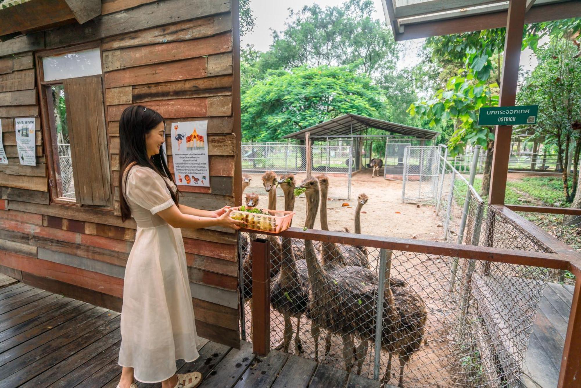 Horizon Village&Resort SHA Plus Doi Saket Exterior foto